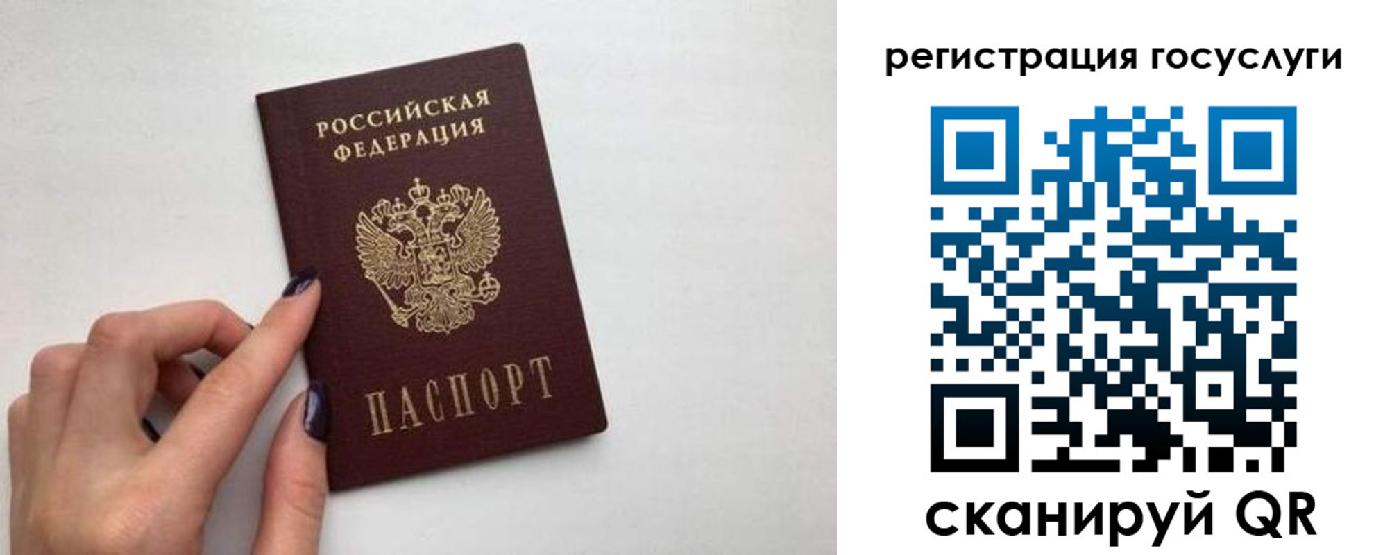 временная регистрация гарантия в Тынде